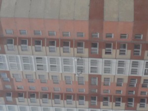 20170322_154053_HDR.jpg