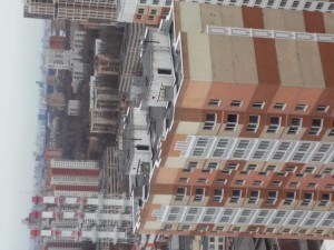 20170324_150630_HDR.jpg