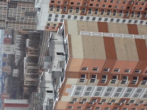 20170324_150829_HDR.jpg