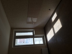 IMG_3401.JPG