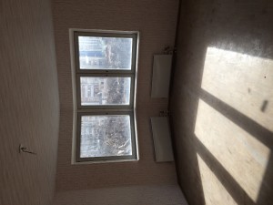 IMG_3416.JPG