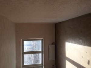 IMG_3417.JPG