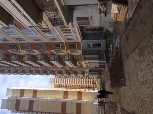 IMG_3397.JPG