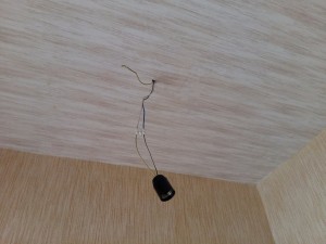 20170325_115238.jpg