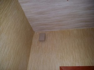 20170325_115233.jpg
