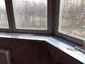 20170325_115208.jpg