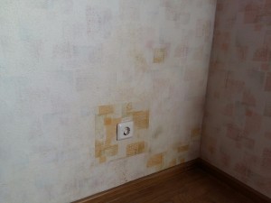 20170325_115149.jpg