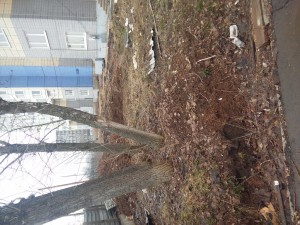 20170402_140601.jpg