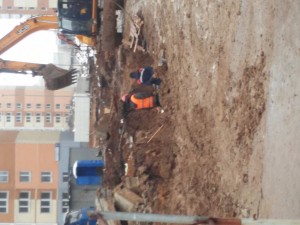20170402_150241.jpg