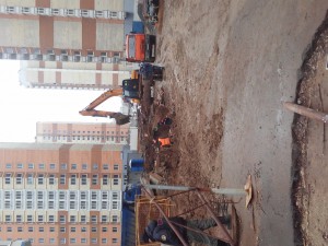 20170402_150247.jpg