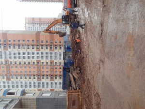 20170402_150307.jpg