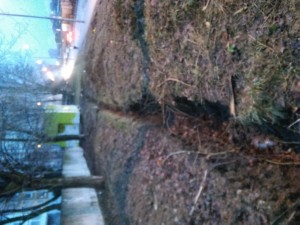 20170408_193850.jpg