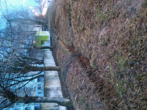 20170408_193900.jpg