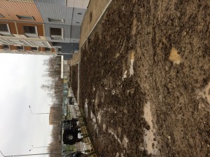 IMG_0586.JPG