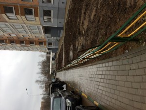 IMG_0587.JPG