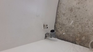 20170428_113952.jpg