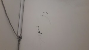 20170428_113923.jpg