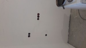 20170428_113920.jpg