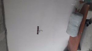 20170428_113629.jpg