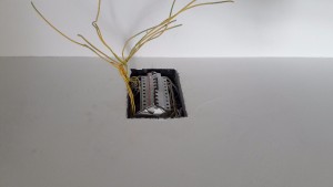 20170513_170312.jpg