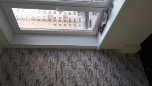 20170518_185508.jpg