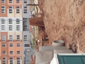 20170521_133516.jpg