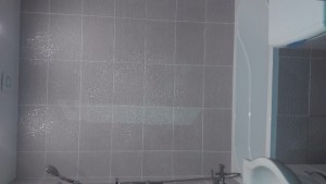 IMG-20170521-WA0085.jpeg