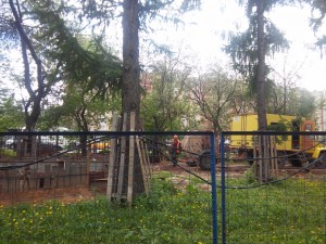 20170526_131349.jpg