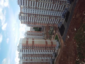 20170526_141829.jpg