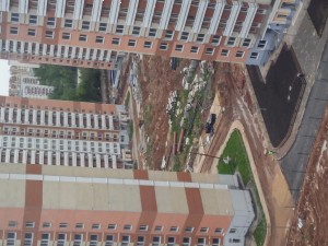 20170526_141837_HDR.jpg