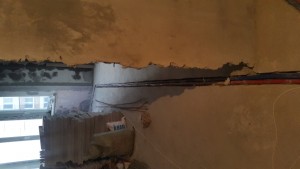 20170518_201454.jpg