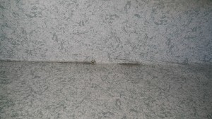 20170530_131105.jpg
