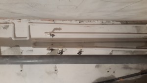 20170527_200030.jpg