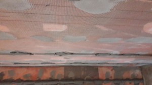 20170525_114932.jpg