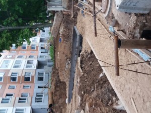 20170606_180326.jpg