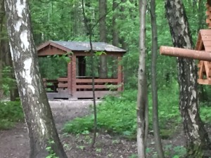 IMG_1559.JPG