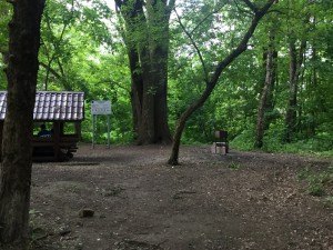 IMG_1560.JPG