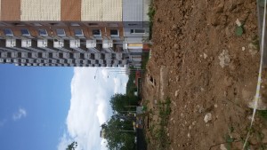20170612_144416.jpg