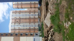 20170612_144442.jpg