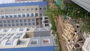 20170612_144606.jpg