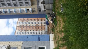 20170612_144536.jpg