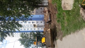 20170612_144859.jpg