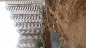 20170612_151507.jpg