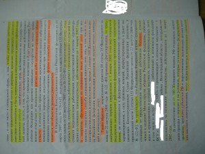 DSC02013.jpg