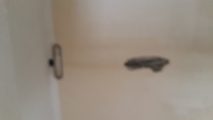 20170613_151459.jpg