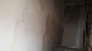 20170613_181001.jpg