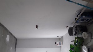 20170615_165012.jpg