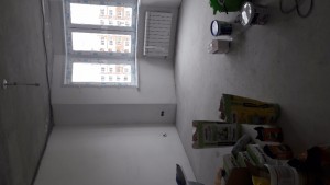 20170615_165004.jpg