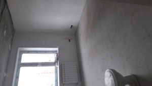 20170615_164951.jpg