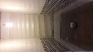 20170615_164921.jpg